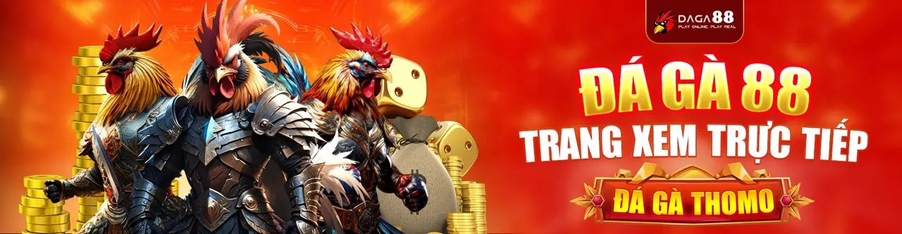 Đá Gà Trực Tuyến win55 ap - Trận đấu gà kịch tính